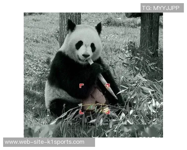 满背老虎的足球明星是谁揭秘他背后的故事与成就